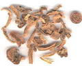ADASOGANI