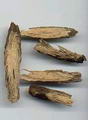 MEYANKÖKÜ